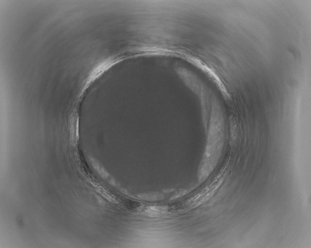 X0000114181365200911191258