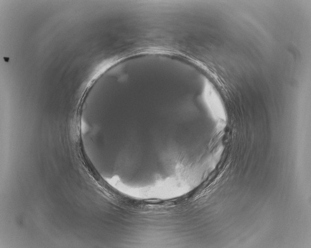 X0000114181367200911191258