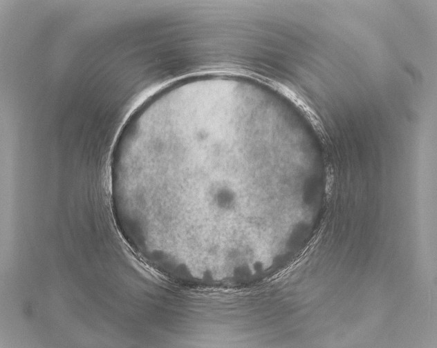 X0000114181372200911191258