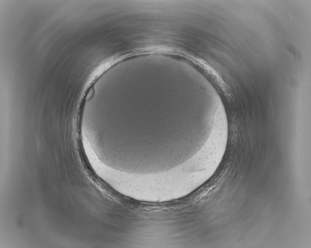 X0000114181373200911191258