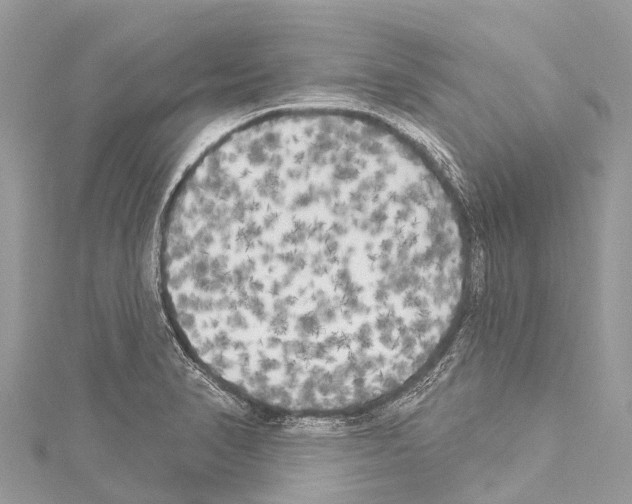 X0000114181374200911191258