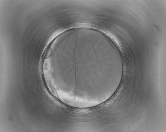 X0000114181382200911191258