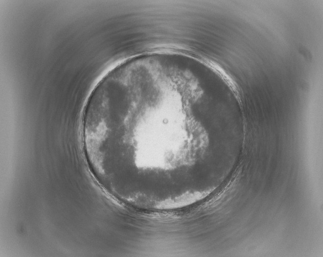 X0000114181384200911191258