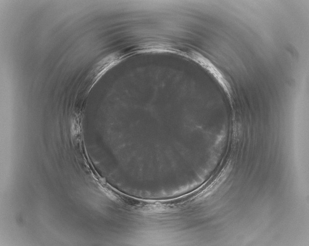 X0000114181385200911191258