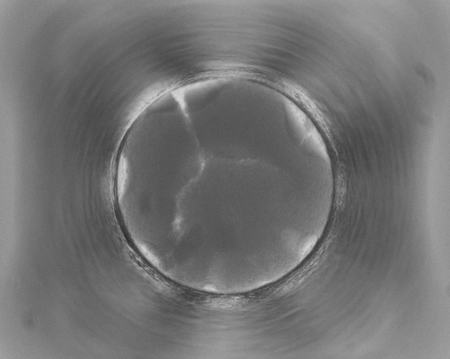 X0000114181386200911191258