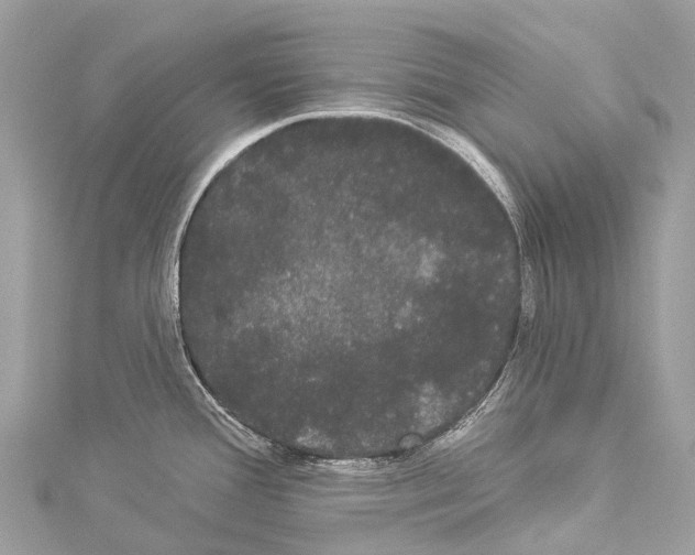 X0000114181388200911191258