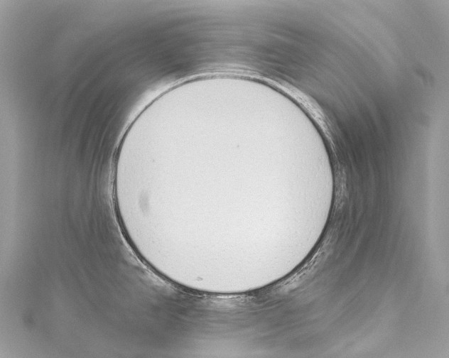 X0000114181390200911191258