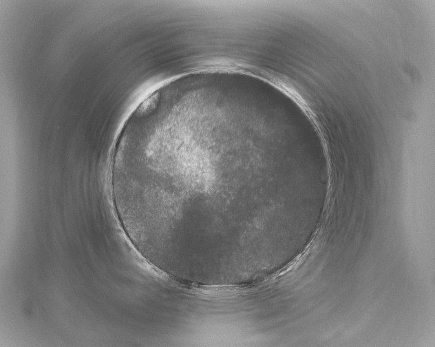 X0000114181392200911191258