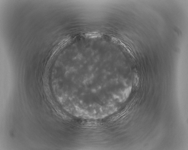 X0000114181393200911191257