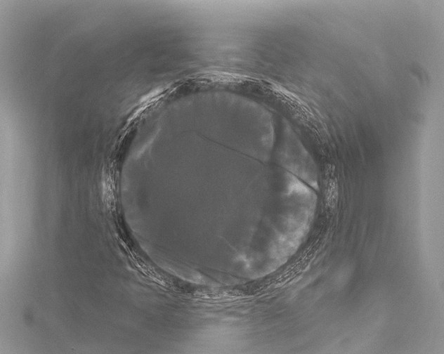 X0000114181397200911191257