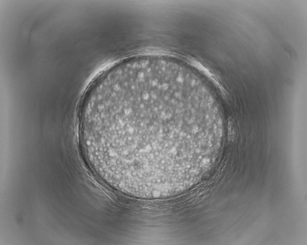 X0000114181408200911191257