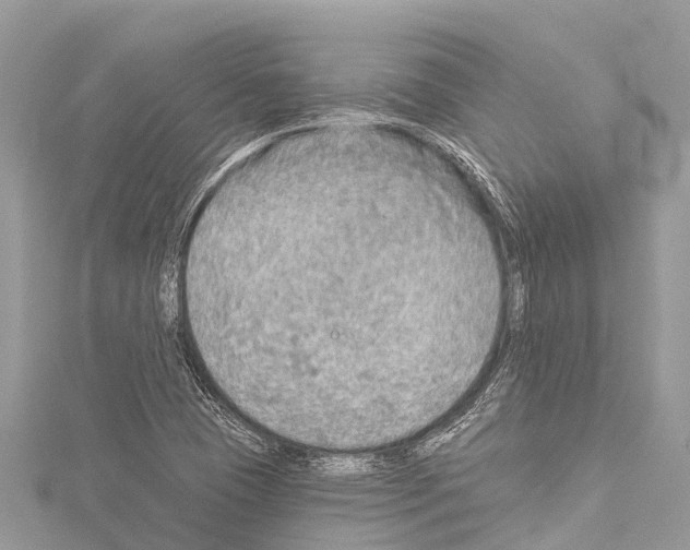 X0000114181409200911191257