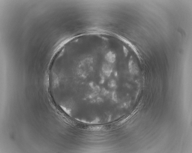 X0000114181415200911191258