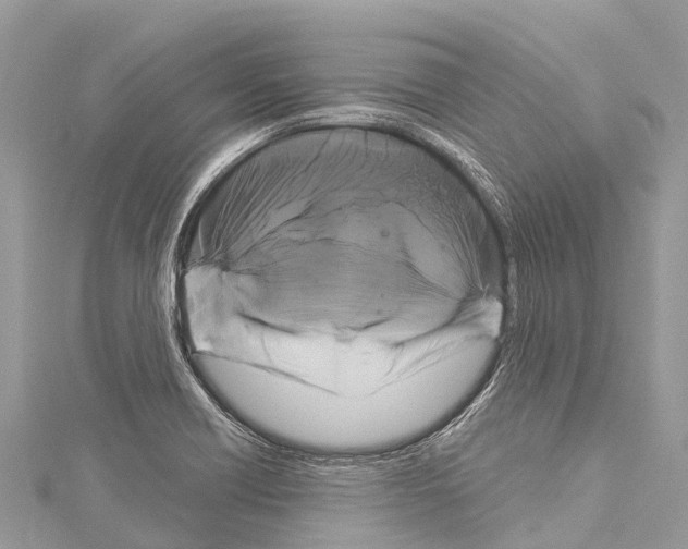 X0000114181418200911191258