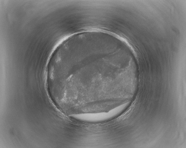 X0000114181424200911191258