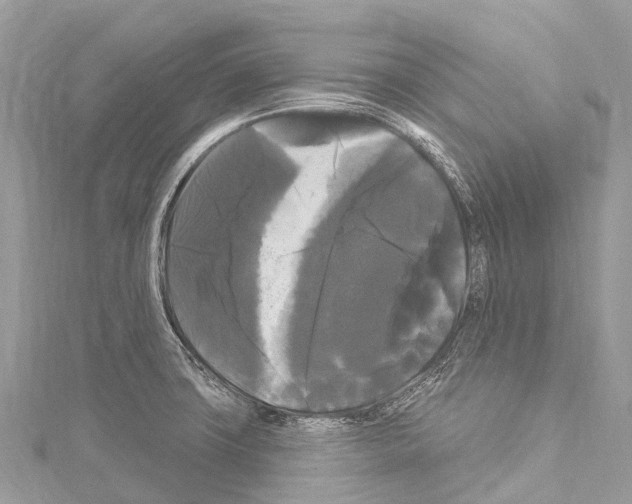 X0000114181427200911191258