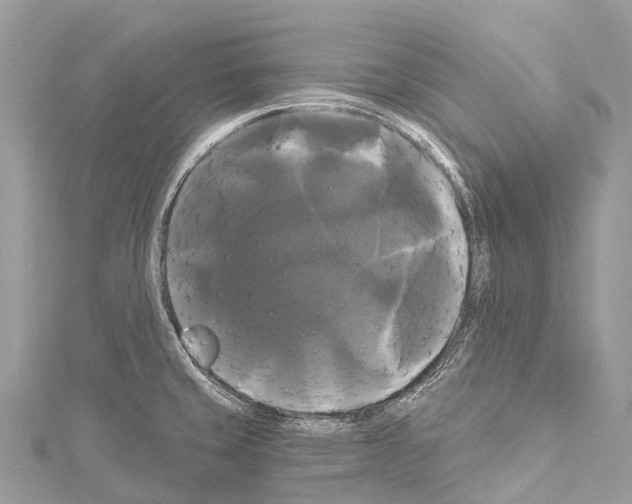 X0000114181429200911191258