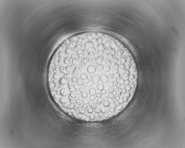 X0000114181432200911191258