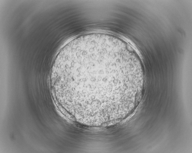 X0000114181433200911191258