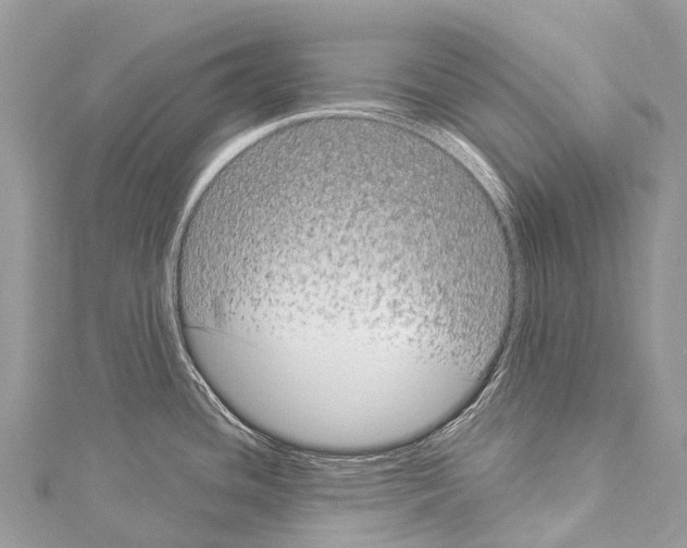 X0000114181436200911191258