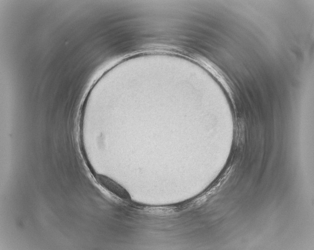 X0000114181437200911191258