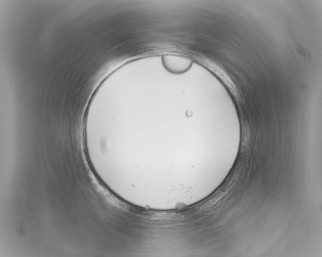 X0000114181439200911191258