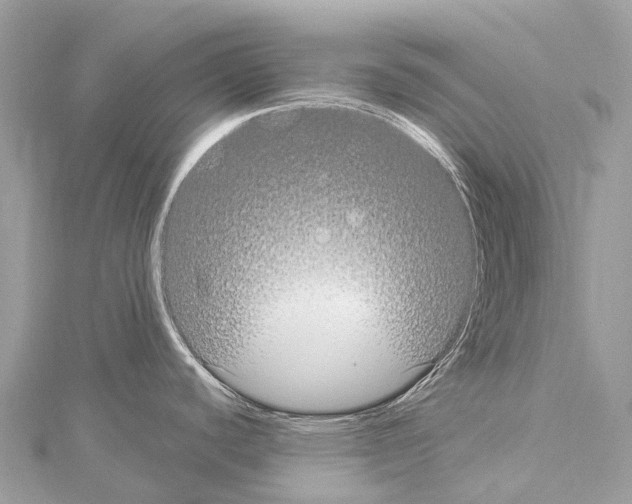 X0000114181440200911191258