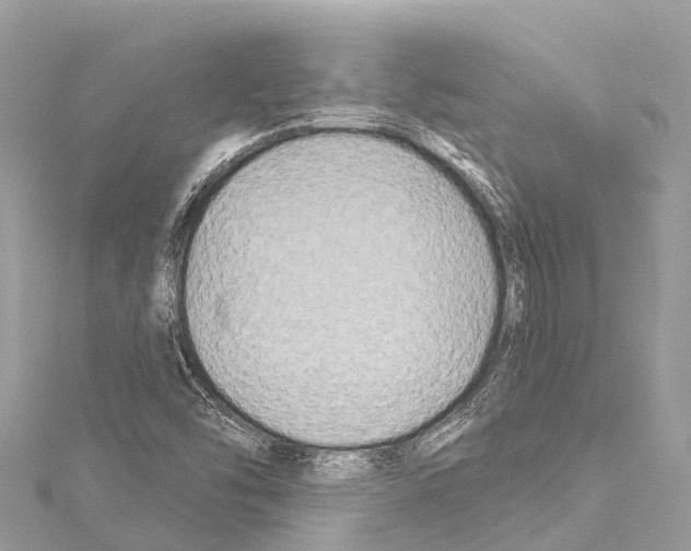 X0000114181454200911191257