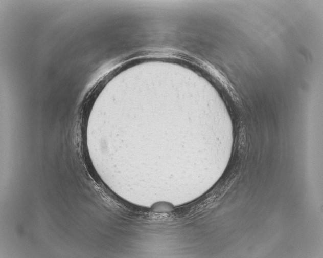 X0000114181456200911191257