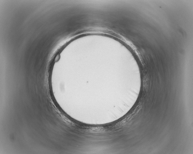 X0000114181464200911191257