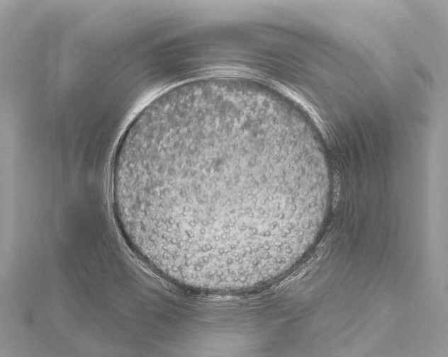 X0000114181467200911191257