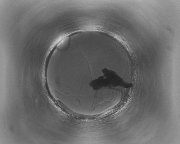 X0000114181469200911191257