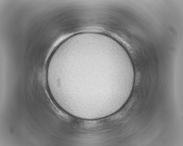 X0000114181470200911191257