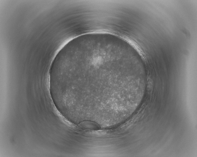 X0000114181476200911191257