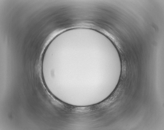 X0000114181478200911191257