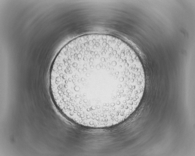 X0000114181479200911191257