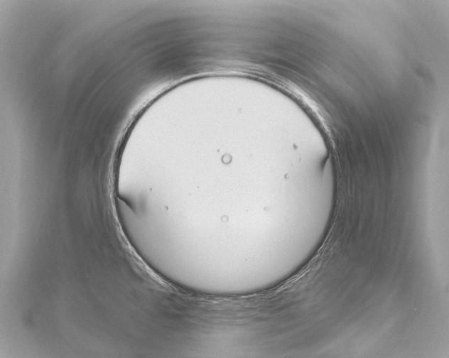 X0000114181480200911191257