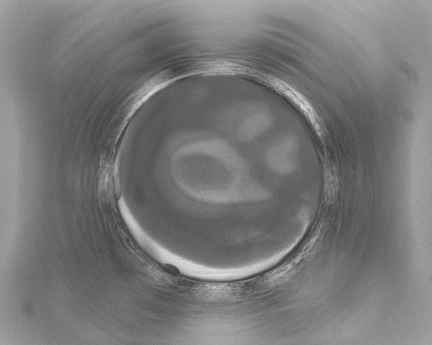 X0000114181481200911191257