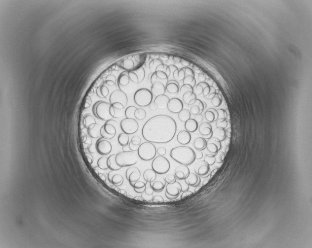 X0000114181483200911191257