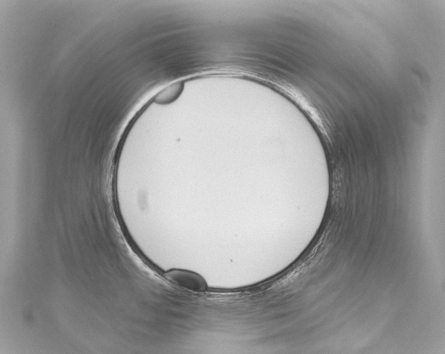 X0000114181484200911191257