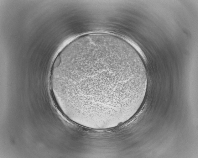 X0000114181485200911191257