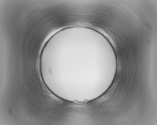 X0000114181486200911191257