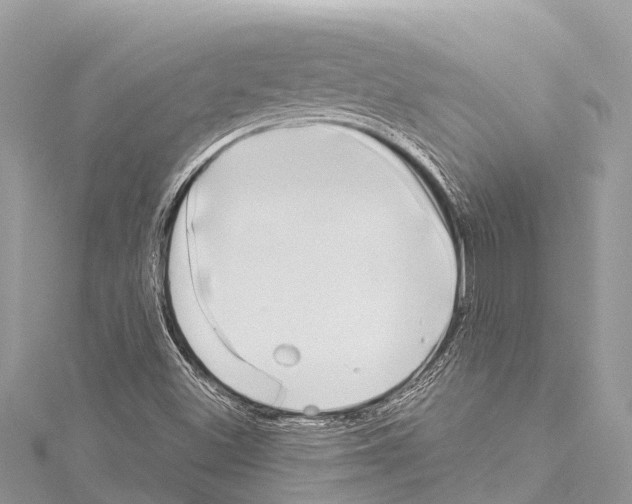 X0000114181500200911191256