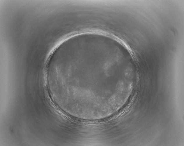 X0000114181504200911191256