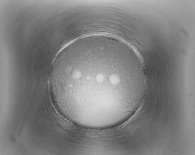 X0000114181505200911191256