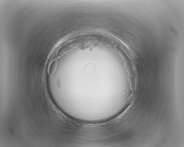 X0000114181506200911191256