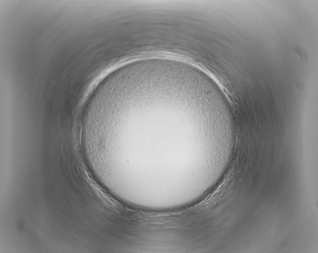 X0000114181507200911191256