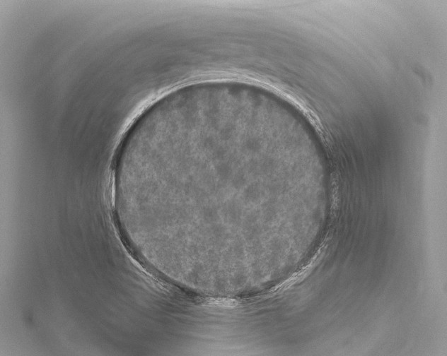 X0000114181509200911191256