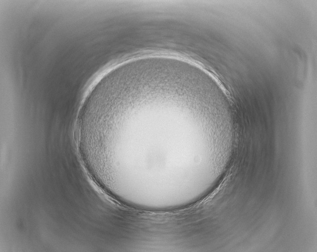 X0000114181511200911191256