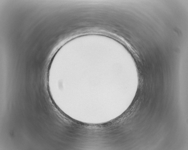 X0000114181512200911191256